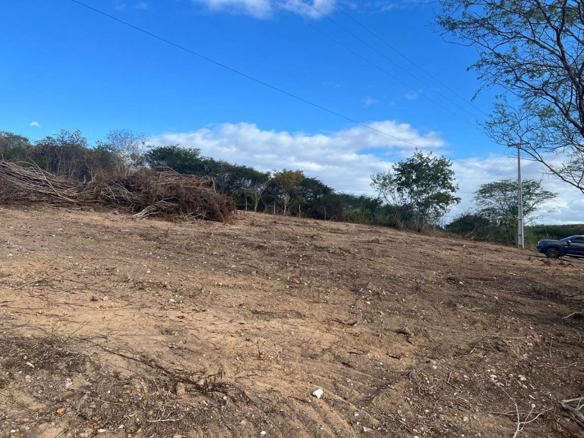Terreno, 1 hectares - Foto 7