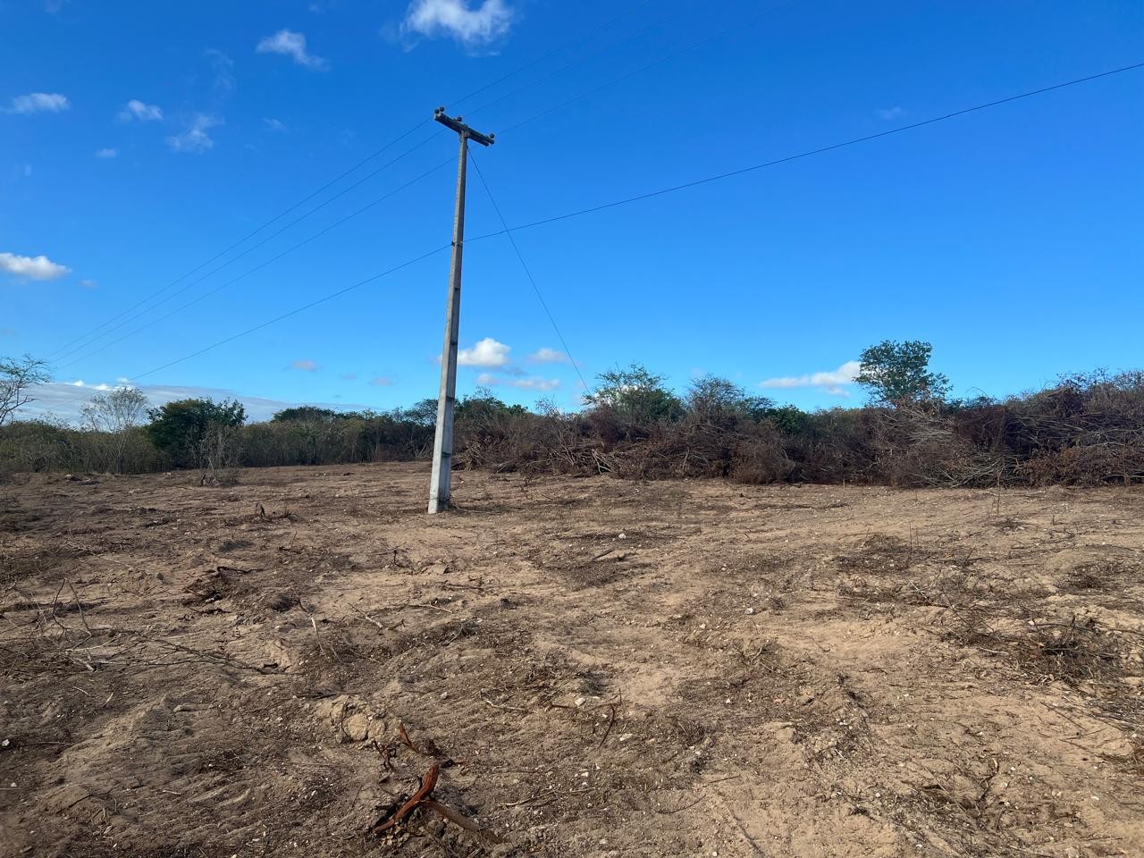 Terreno, 1 hectares - Foto 8