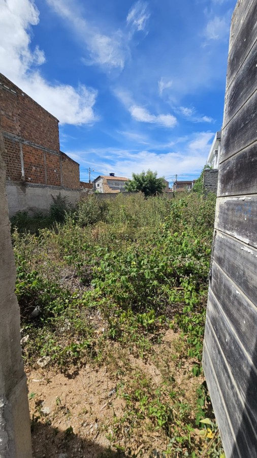Terreno, 200 m² - Foto 4