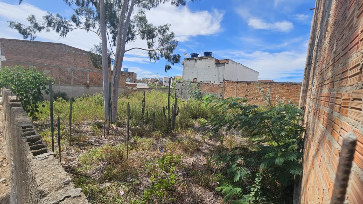 Terreno, 200 m² - Foto 3