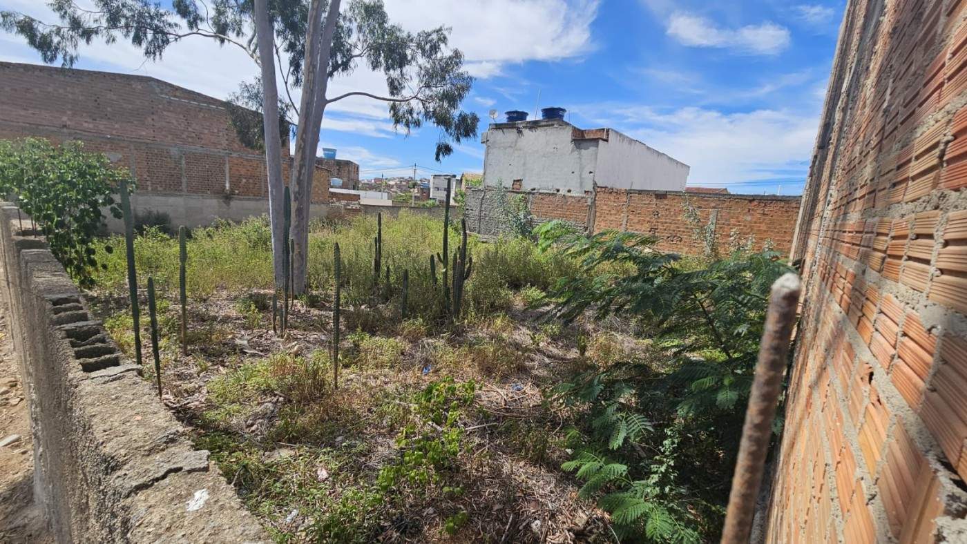 Terreno, 200 m² - Foto 6