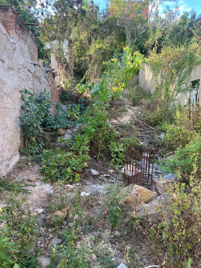 Terreno, 300 m² - Foto 2
