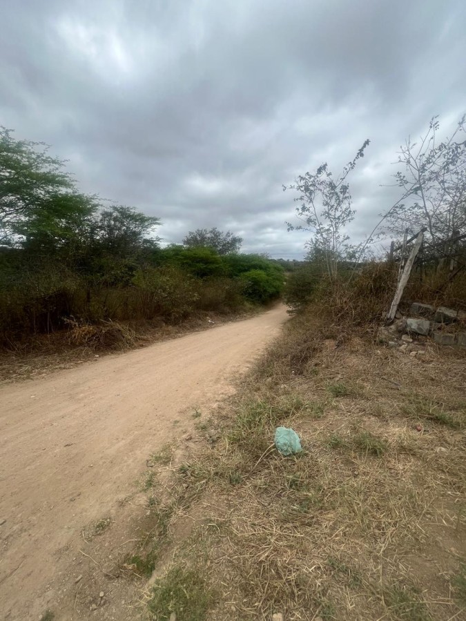 Chácara, 3 quartos, 10000 m² - Foto 29