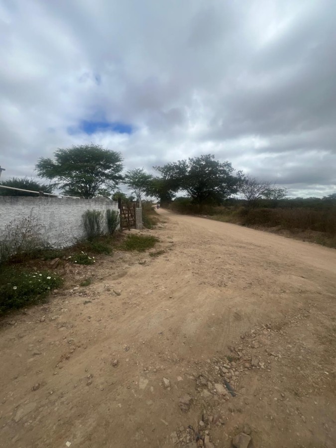 Chácara, 3 quartos, 10000 m² - Foto 26