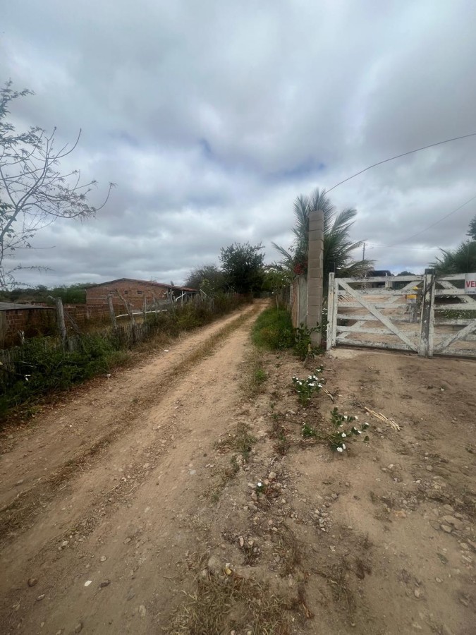 Chácara, 3 quartos, 10000 m² - Foto 27