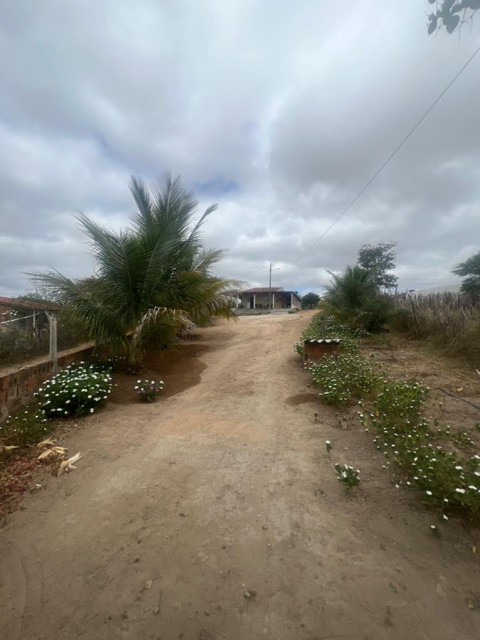 Chácara, 3 quartos, 10000 m² - Foto 28