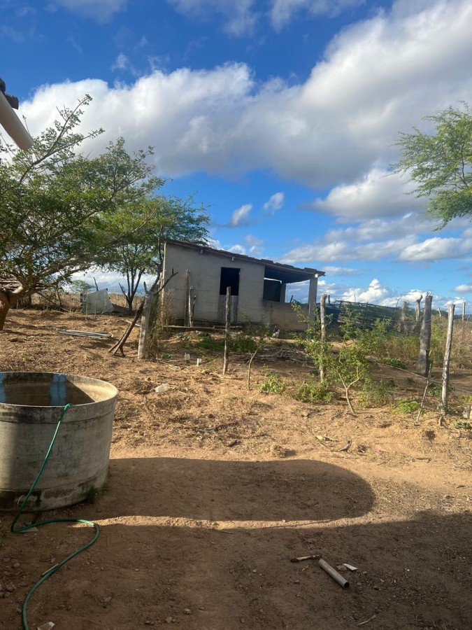 Chácara, 3 quartos, 10000 m² - Foto 22