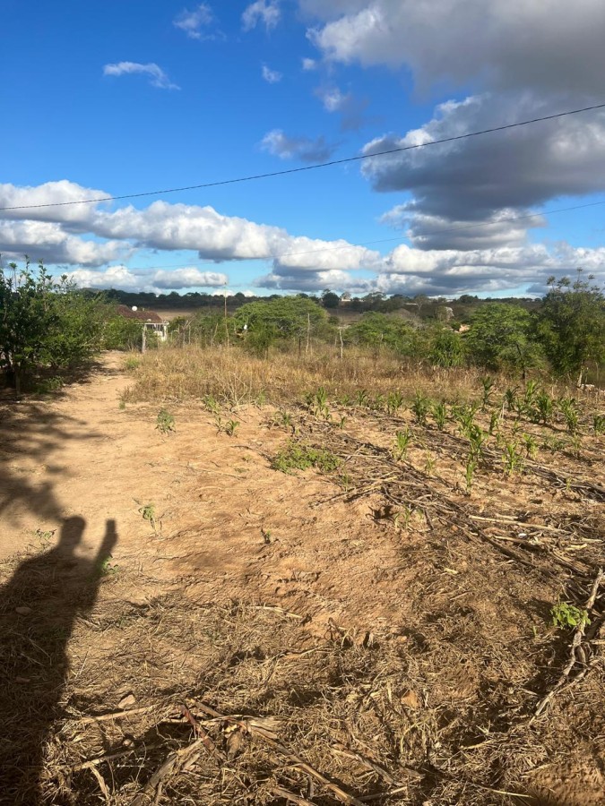 Chácara, 3 quartos, 10000 m² - Foto 25