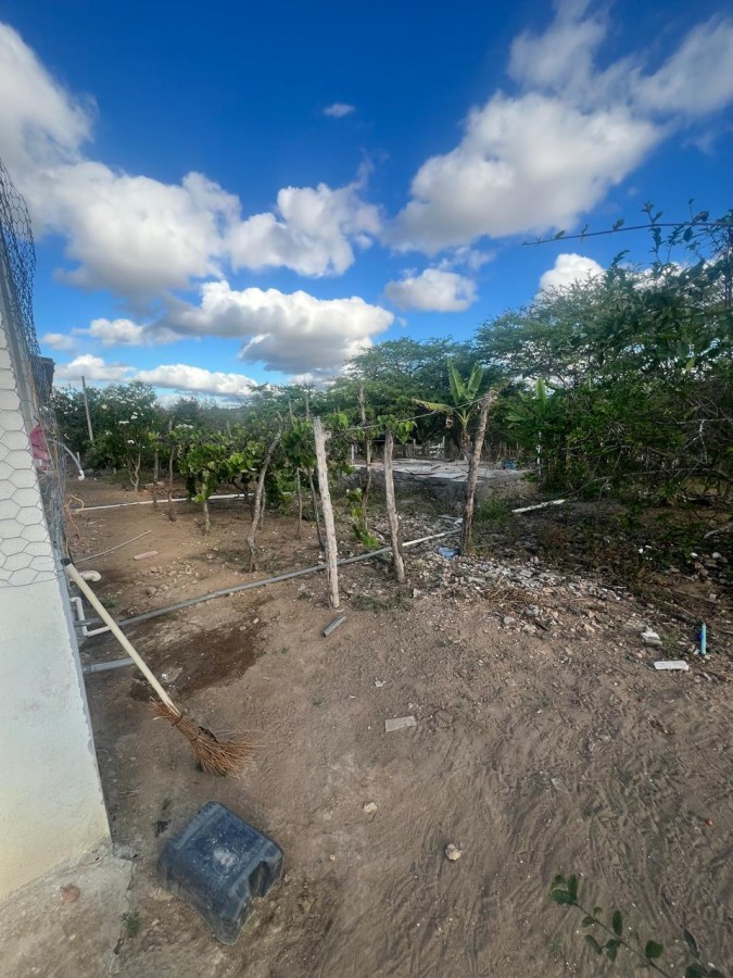 Chácara, 3 quartos, 10000 m² - Foto 18