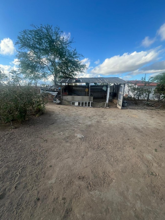 Chácara, 3 quartos, 10000 m² - Foto 20